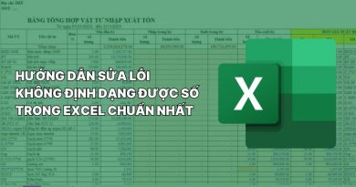 Lỗi không định dạng được số trong Excel
